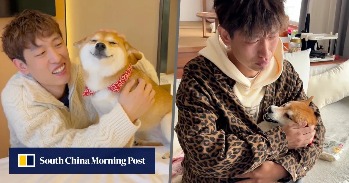 China's Owner of Poisoned 'Smiling Shiba Inu' Criticized for Capitalizing on Dog's Death