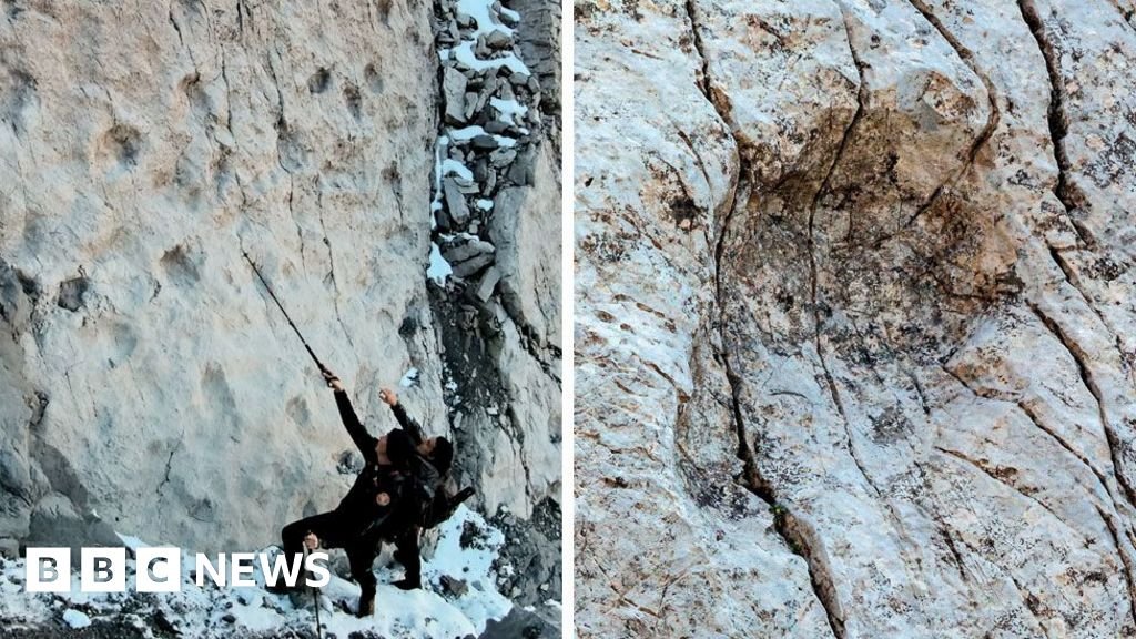 Countless Dinosaur Footprints Discovered on Italian Mountain