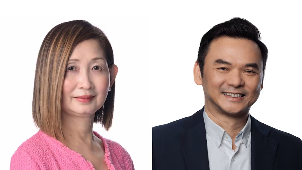 Elaine Ng set to replace Low Eng Teong as CEO of the National Arts Council.