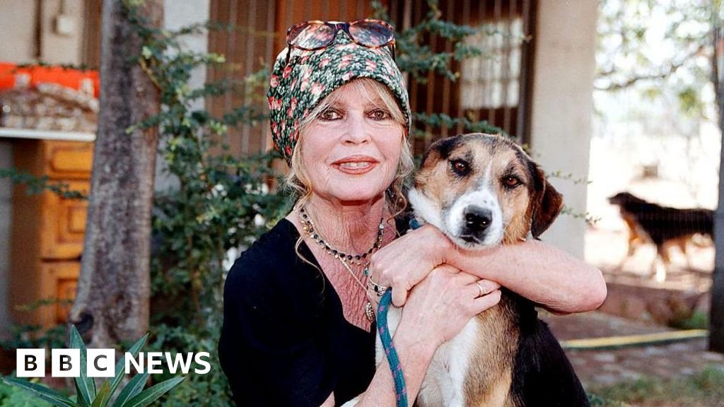 French Right Advocates for National Tribute to Cinema Icon Brigitte Bardot