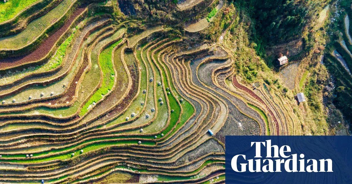 Shattered Aspirations and Land Seizures: The Surge of Rural Unrest in China