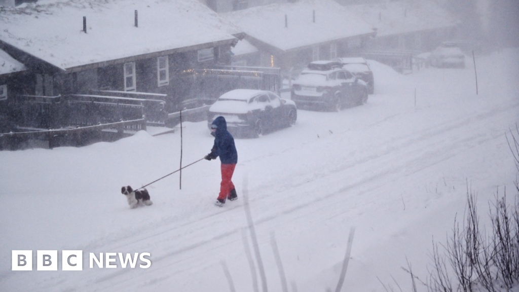 Storm Devastates Nordic Countries, Claiming Two Lives in Sweden