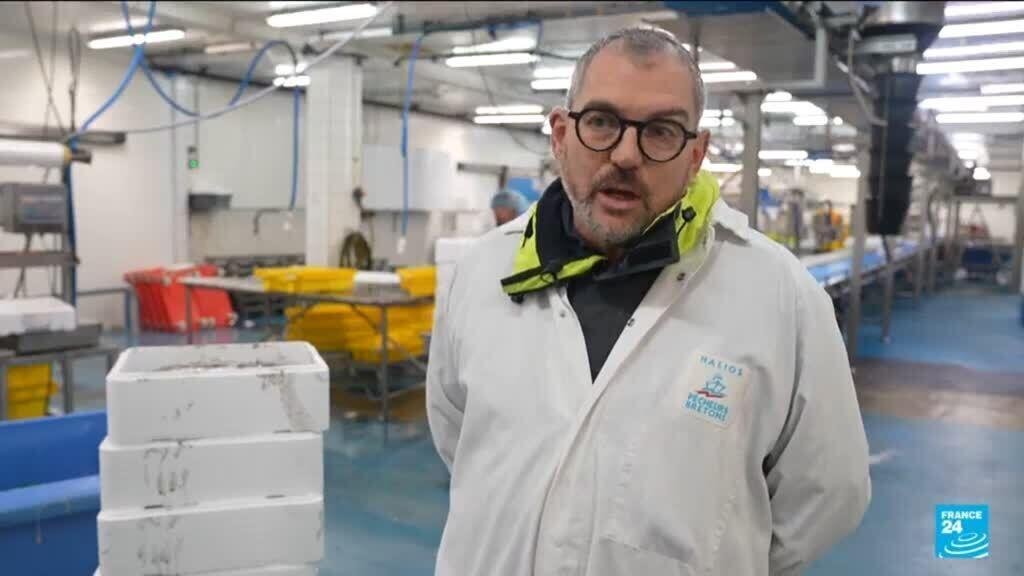 The Impact of Brexit on French Fishermen: Five Years After the UK Left the EU Market