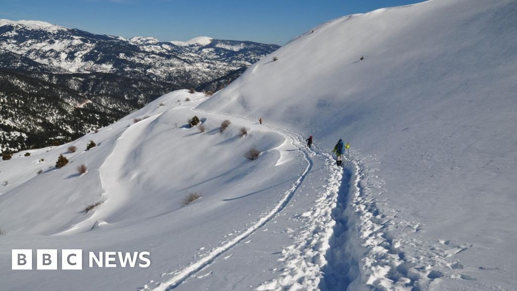 Tragic Avalanche Claims Lives of Four Hikers in Central Greece