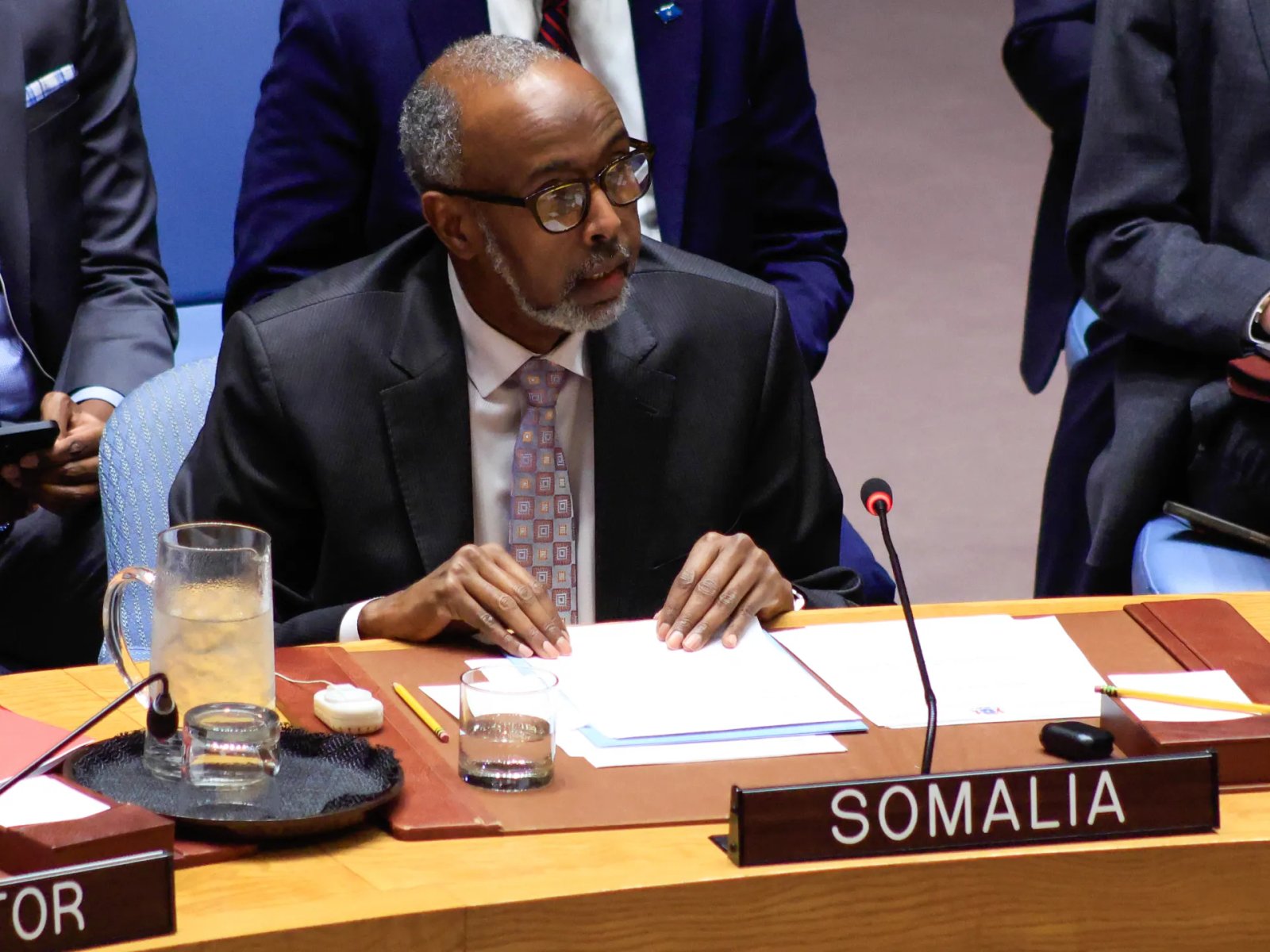 UN Security Council Members Criticize Israel's Acknowledgment of Somaliland