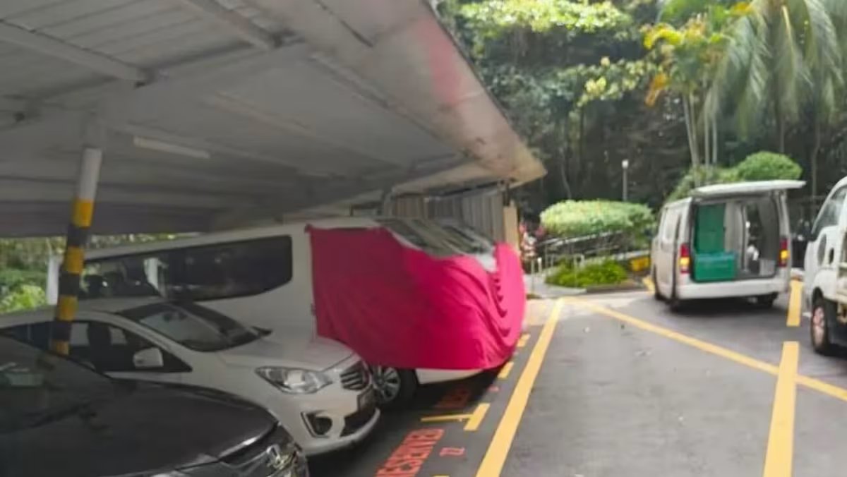 Woman detained for alleged role in vandalizing Salvation Army property with offensive graffiti