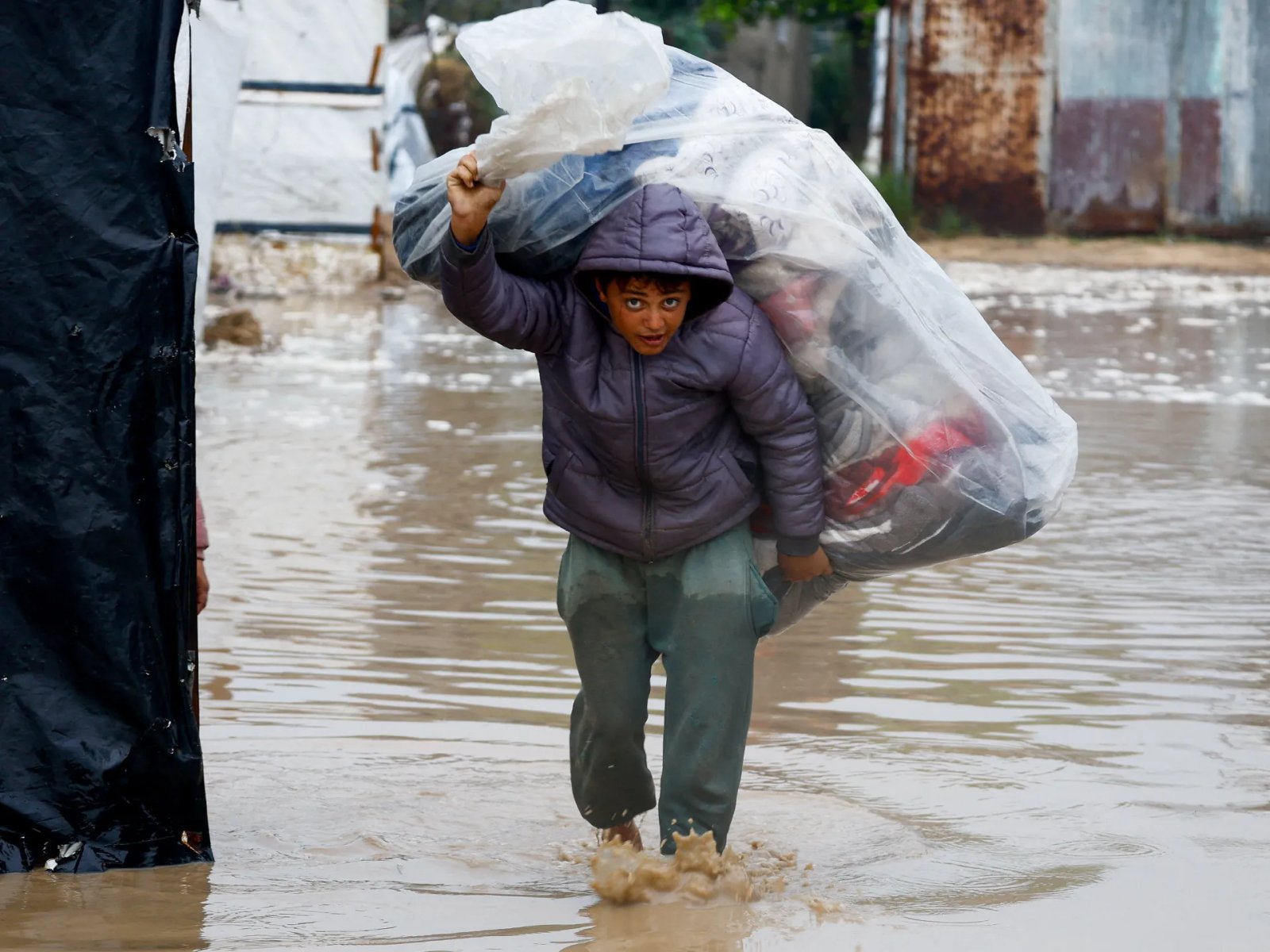 Doctors Warn of 'Swamp Fever' Risk Amid Flooding Crisis in Gaza