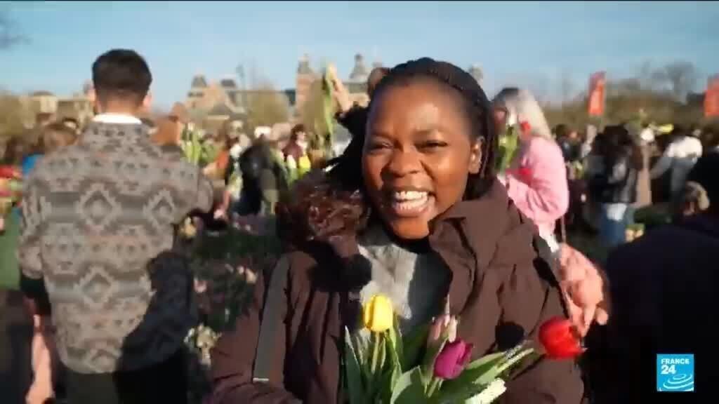 Netherlands Welcomes Spring with a Vibrant National Tulip Day Celebration