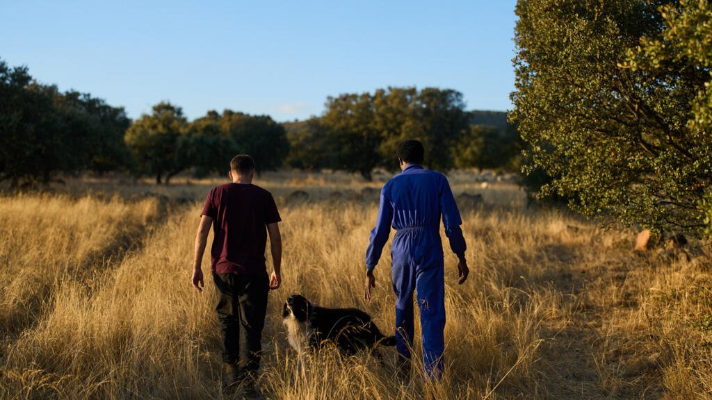 Spain's Amnesty Plan for 500,000 Undocumented Migrants: Here's Why