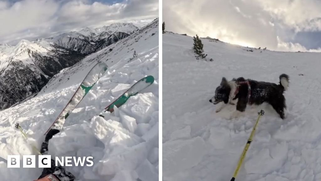Watch: Skier and Dog Caught in a Thrilling Avalanche Moment