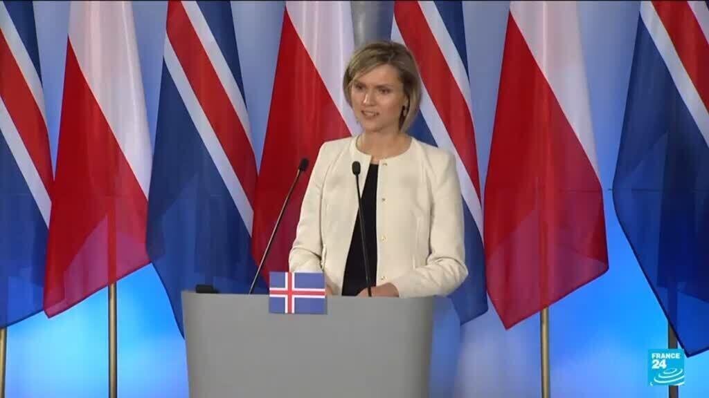 Iceland's Prime Minister Announces Upcoming EU Referendum in the Next Few Months