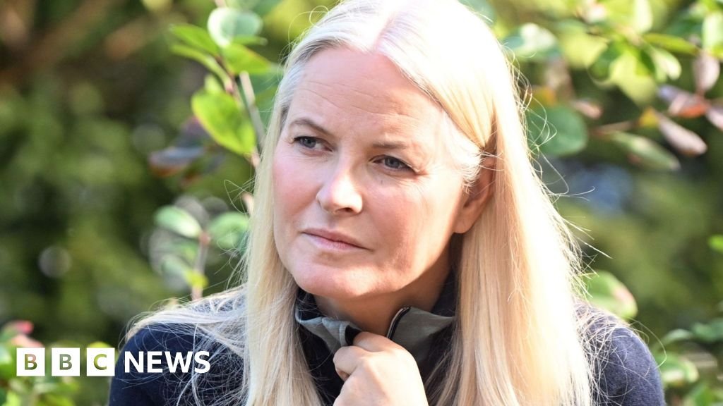 Norway's Prime Minister Acknowledges Crown Princess's Missteps Regarding Epstein Connections