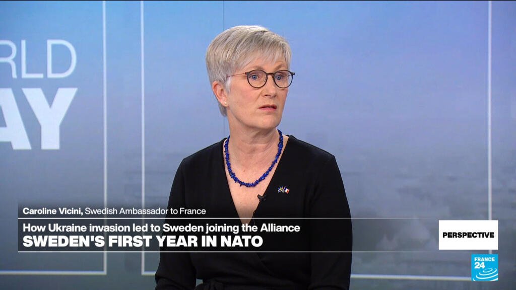 Sweden Expresses Delight in Joining NATO, Says Ambassador to France