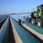 Everything You Need to Know About the Anticipated EU-Australia Trade Agreement