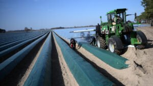 Everything You Need to Know About the Anticipated EU-Australia Trade Agreement