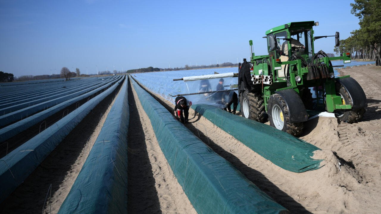 Everything You Need to Know About the Anticipated EU-Australia Trade Agreement