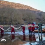 Moldova Faces Water Supply Disruption Following Oil Spill Linked to Russian Attack in Ukraine