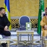 Ukraine and Saudi Arabia Forge Agreement to Share Drone Expertise