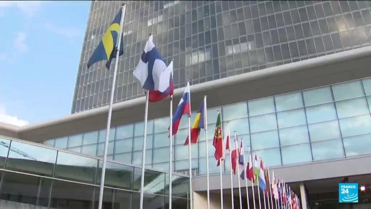 EU Considers Terminating Trade Deal with Israel Amid Human Rights Issues