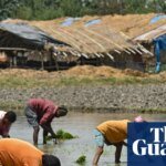 India Braces for Food Shortages as Farmers Stress Over Fertilizer Scarcity Amid Iran Conflict