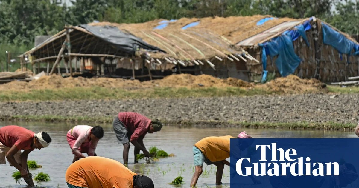 India Braces for Food Shortages as Farmers Stress Over Fertilizer Scarcity Amid Iran Conflict