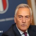 Italian Football Chief and Buffon Resign Following World Cup Disappointment