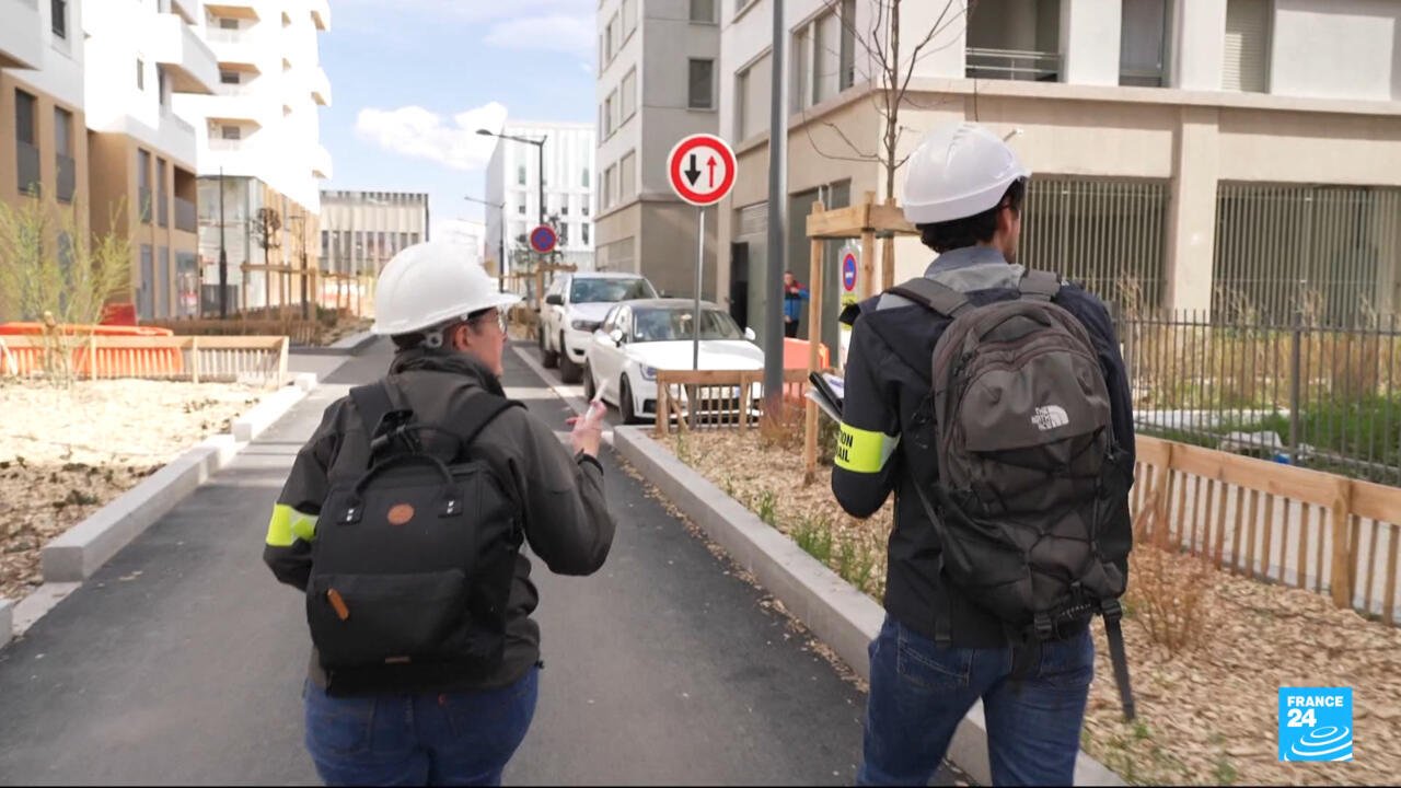 The High Costs of Undeclared Labor: Employment Fraud in France