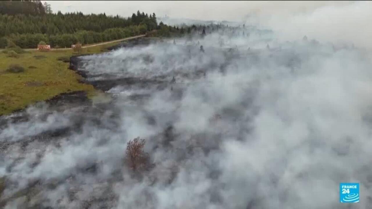 Belgium Confronts Its Most Devastating Wildfire Yet