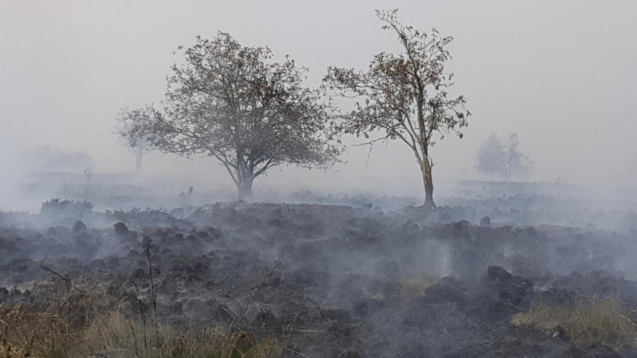 Belgium Faces Unprecedented Wildfire as Hundreds of Villagers Flee