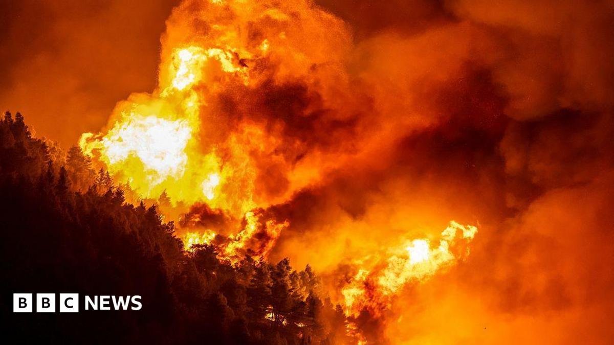 Croatia Wildfire Leaves Dozens Injured and Thousands Displaced