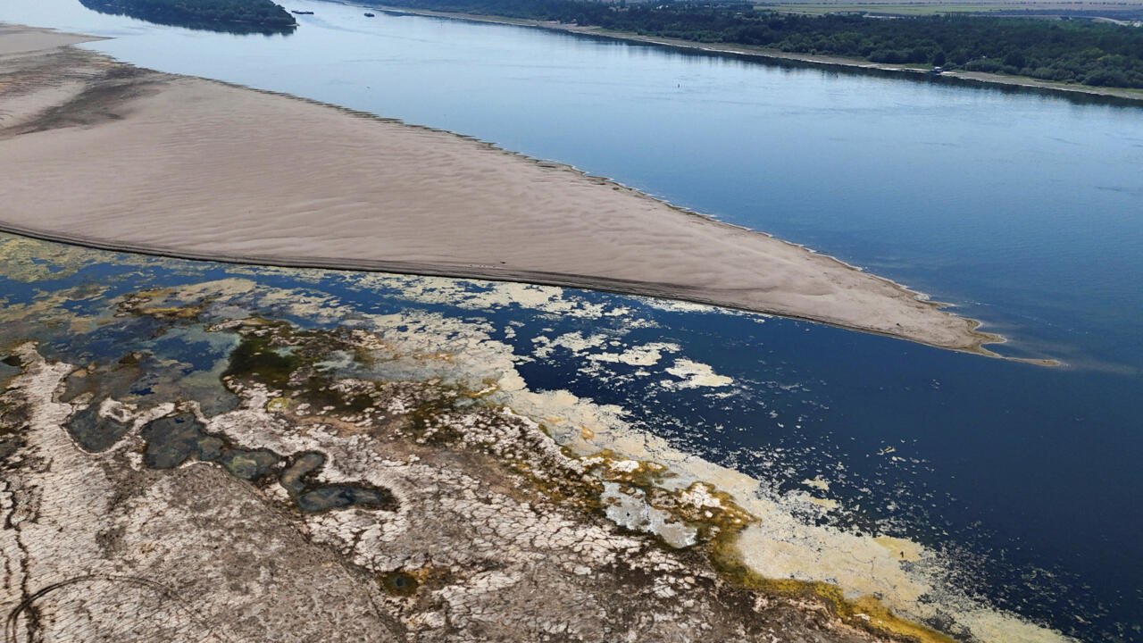 Drought-Stricken Danube: A Bonanza for Fossil Hunters in Bulgaria