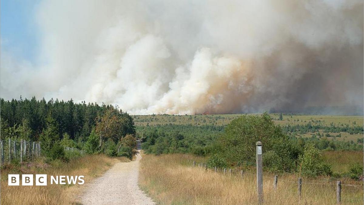 Firefighters Combat Wildfire Devastating Belgian Nature Reserve