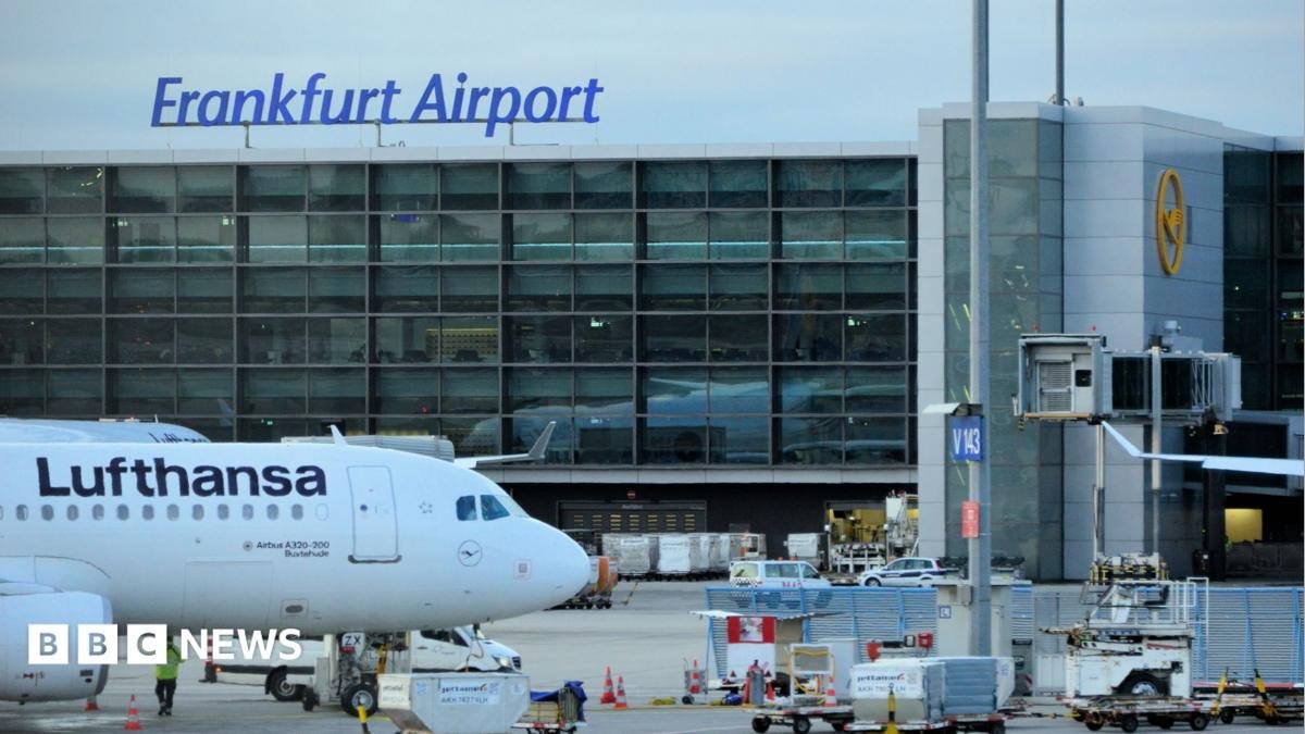 German airport employee succumbs to malaria after 'mosquito boards flight'