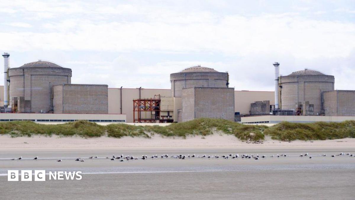 Jellyfish Trigger Partial Shutdown at French Nuclear Facility