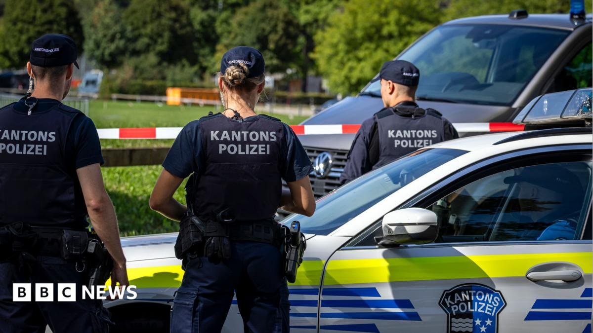 Man Detained Following Deadly Shooting at Swiss Rave That Claimed a Woman's Life