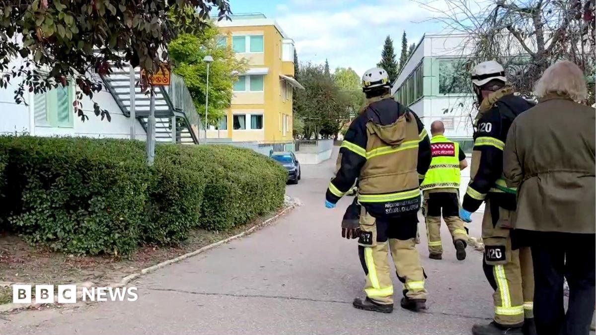 Multiple Injuries Reported in Sword Assault at Swedish School