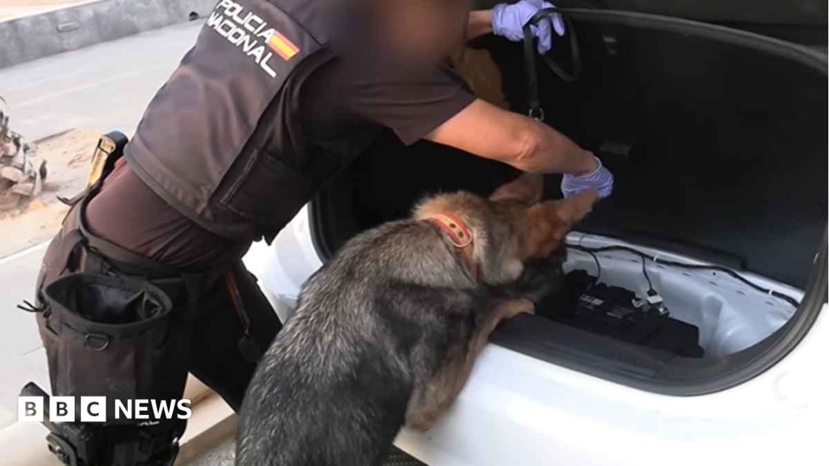 Spanish Authorities Detain 78 Individuals in Major Smuggling Operation Crackdown