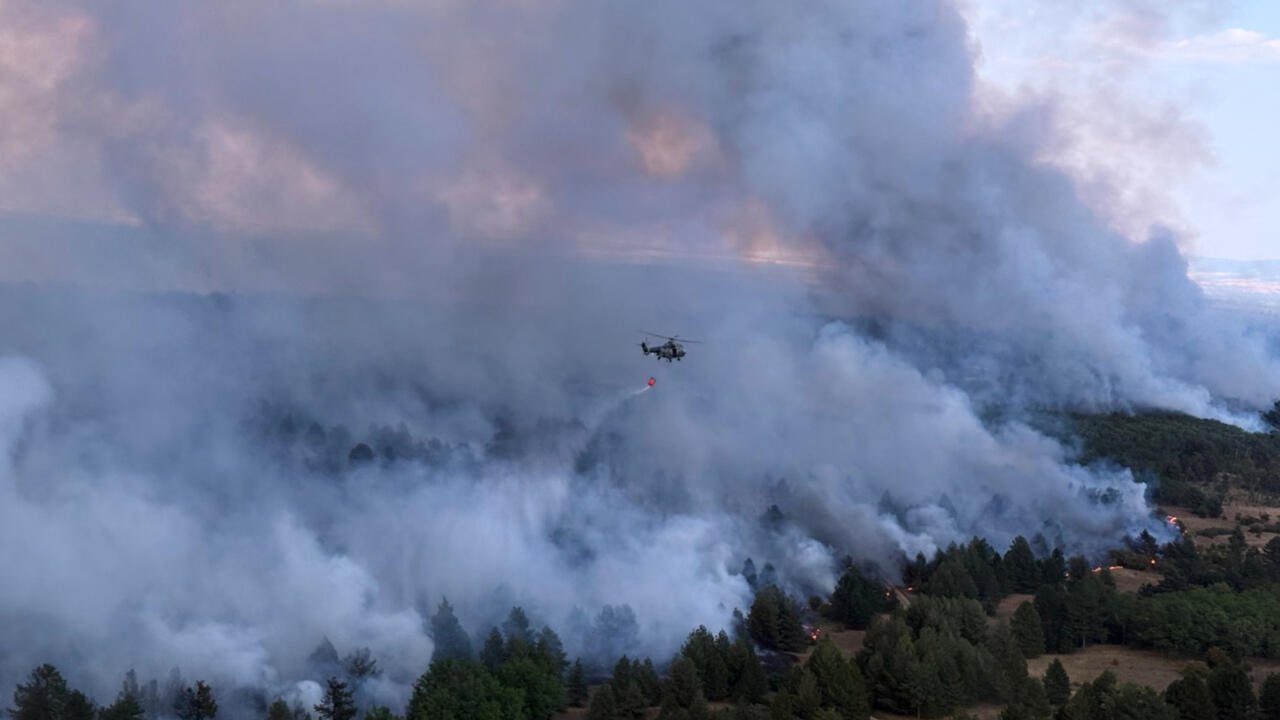 This Week's Highlights: Summer Wildfires, Thai School Shooting, and the Tour de France Femmes
