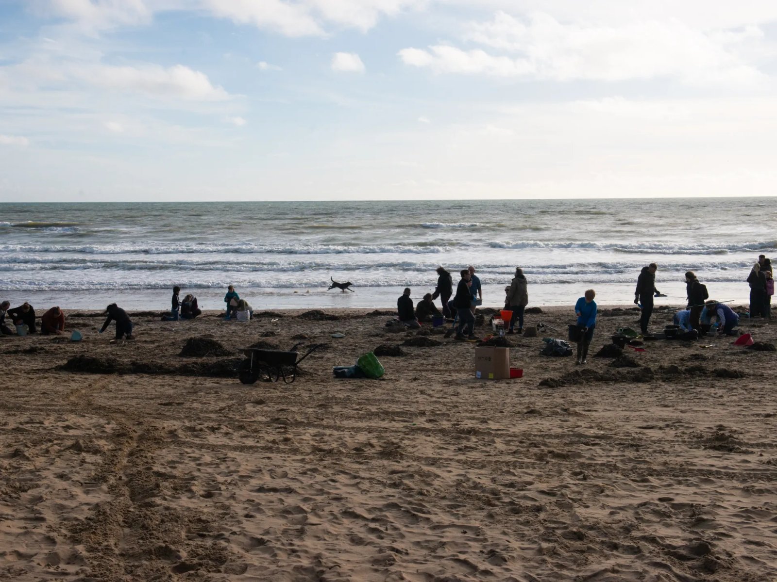 Tragedy Strikes as Palestinian Refugee and Two Family Members Drown Off the English Coast