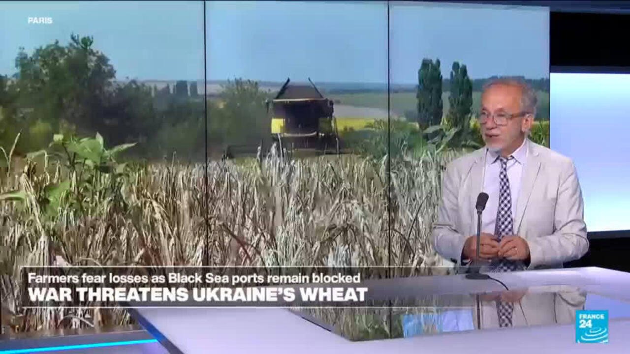 Ukraine Conflict: Grain Strikes Heighten Concerns Over Rising Food Prices