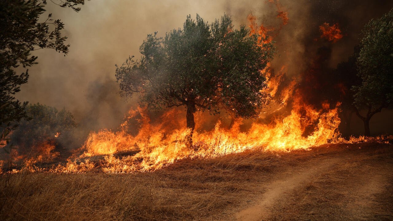 Western Europe Experiences Record-Breaking Heat in June and July