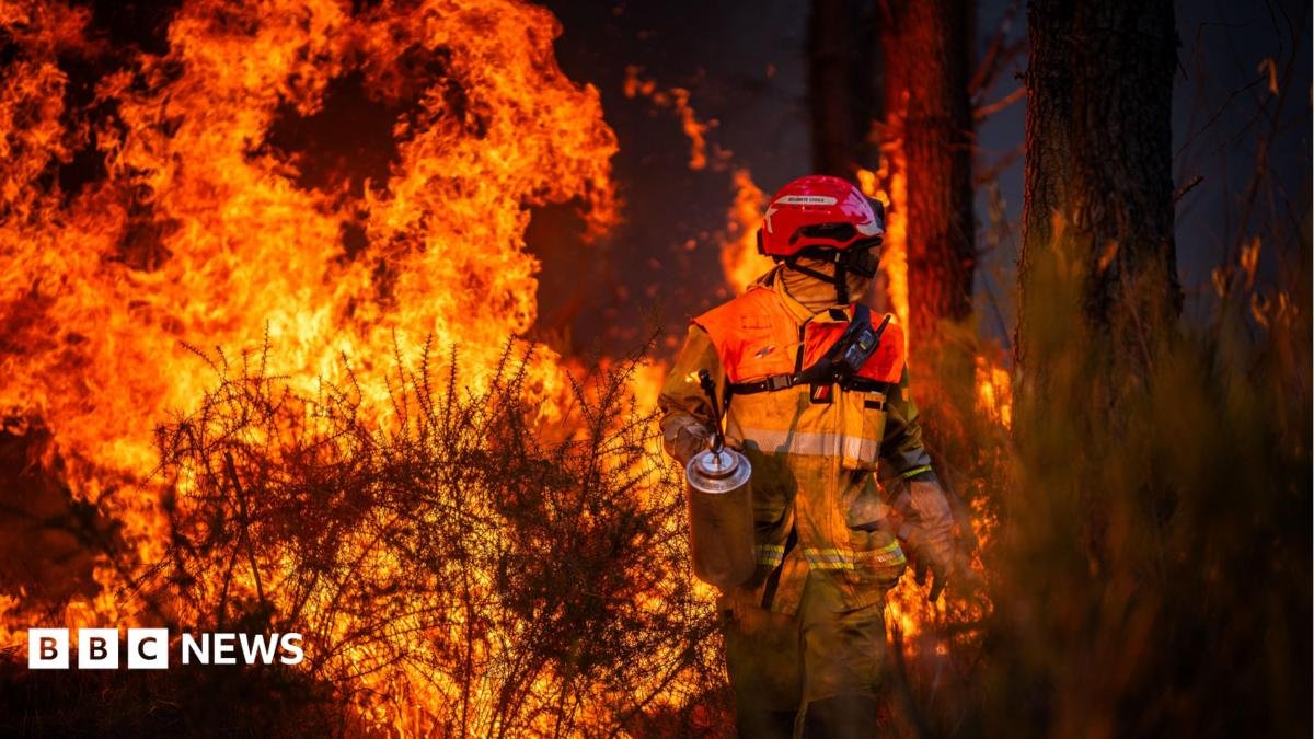 Who’s Responsible? Hundreds Arrested Amidst French Wildfires