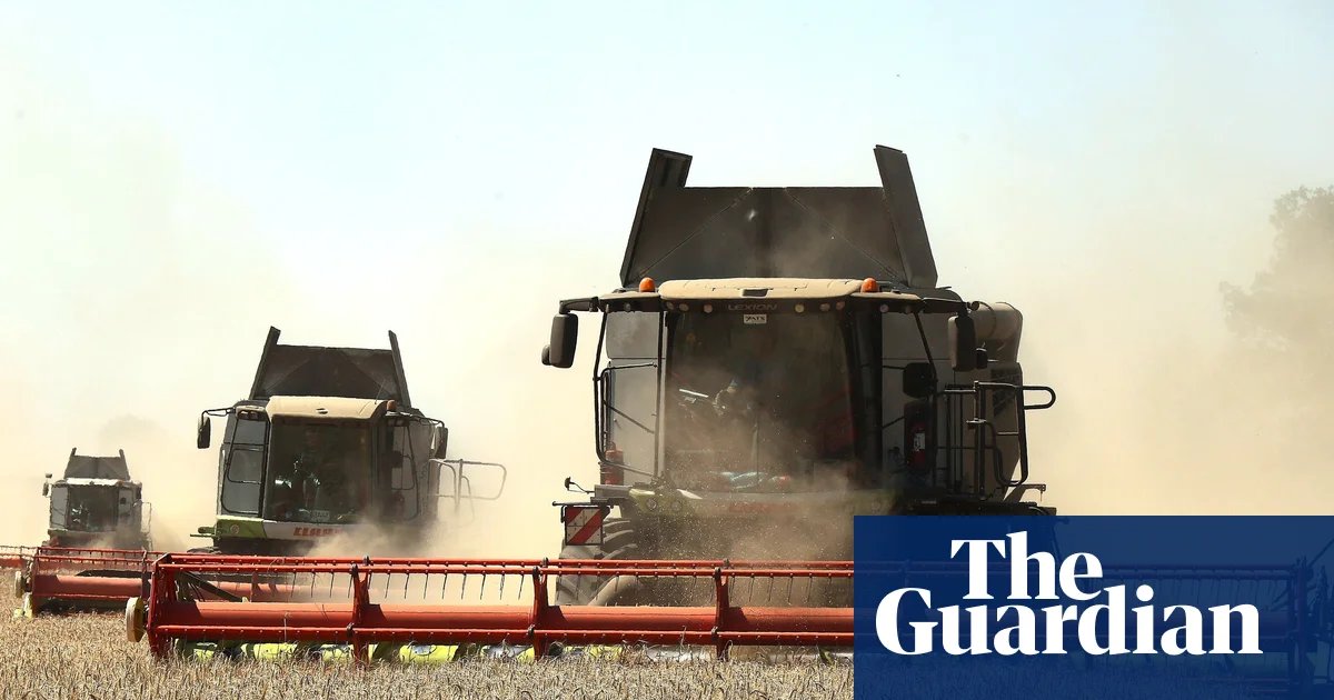Zelenskyy Alerts Egypt to Food Supply Risks from Russian Strikes in the Black Sea: Ukraine War Update