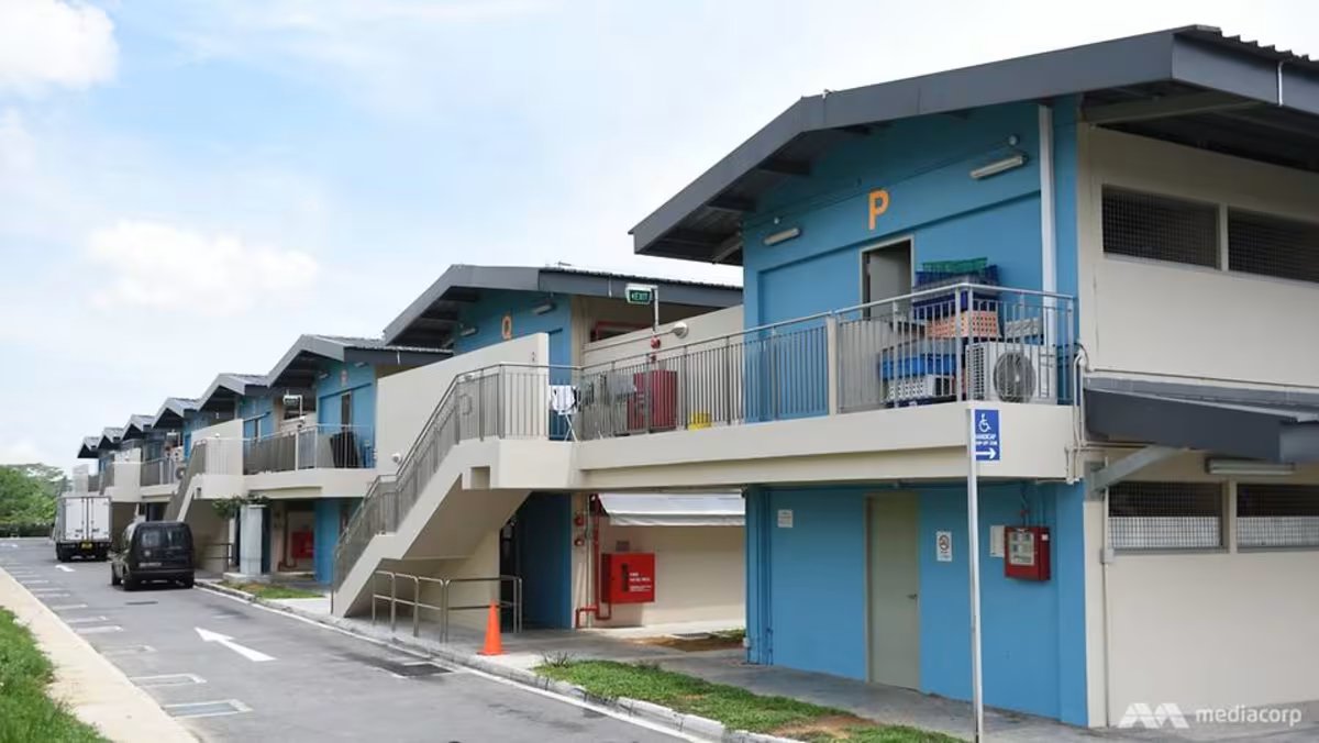 8 of 35 Tenants at The Animal Lodge Will Not Have Their Leases Renewed Due to Incomplete Tender Requirements: AVS
