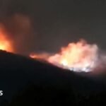 Bulgaria Probes Fire at Weapons Facility Owner Claims Was Sabotage