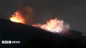 Bulgaria Probes Fire at Weapons Facility Owner Claims Was Sabotage