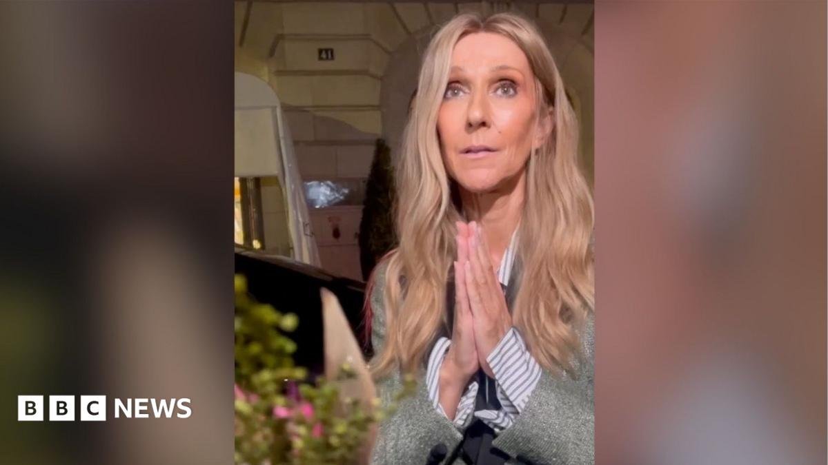 Céline Dion Performs a Duet with a Fan Before Her Comeback Concert in Paris