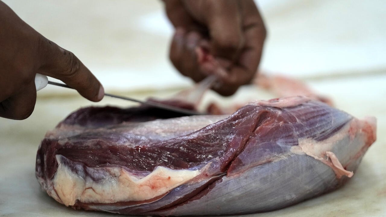 EU Halts Brazilian Meat Imports Amid Antibiotic Compliance Issues