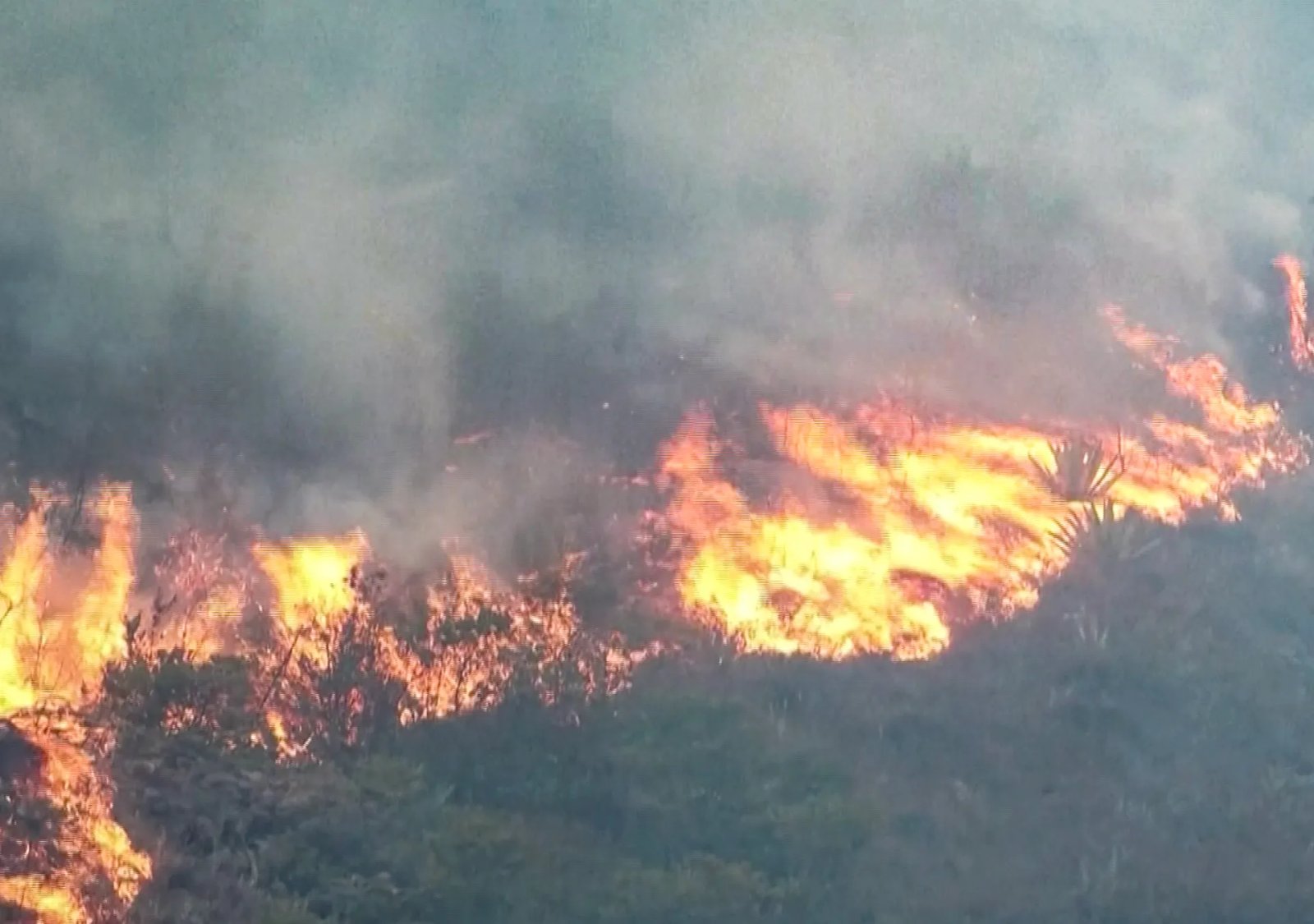 Forest Fire in Central Colombia Puts Tourist Town of Villa de Leyva at Risk