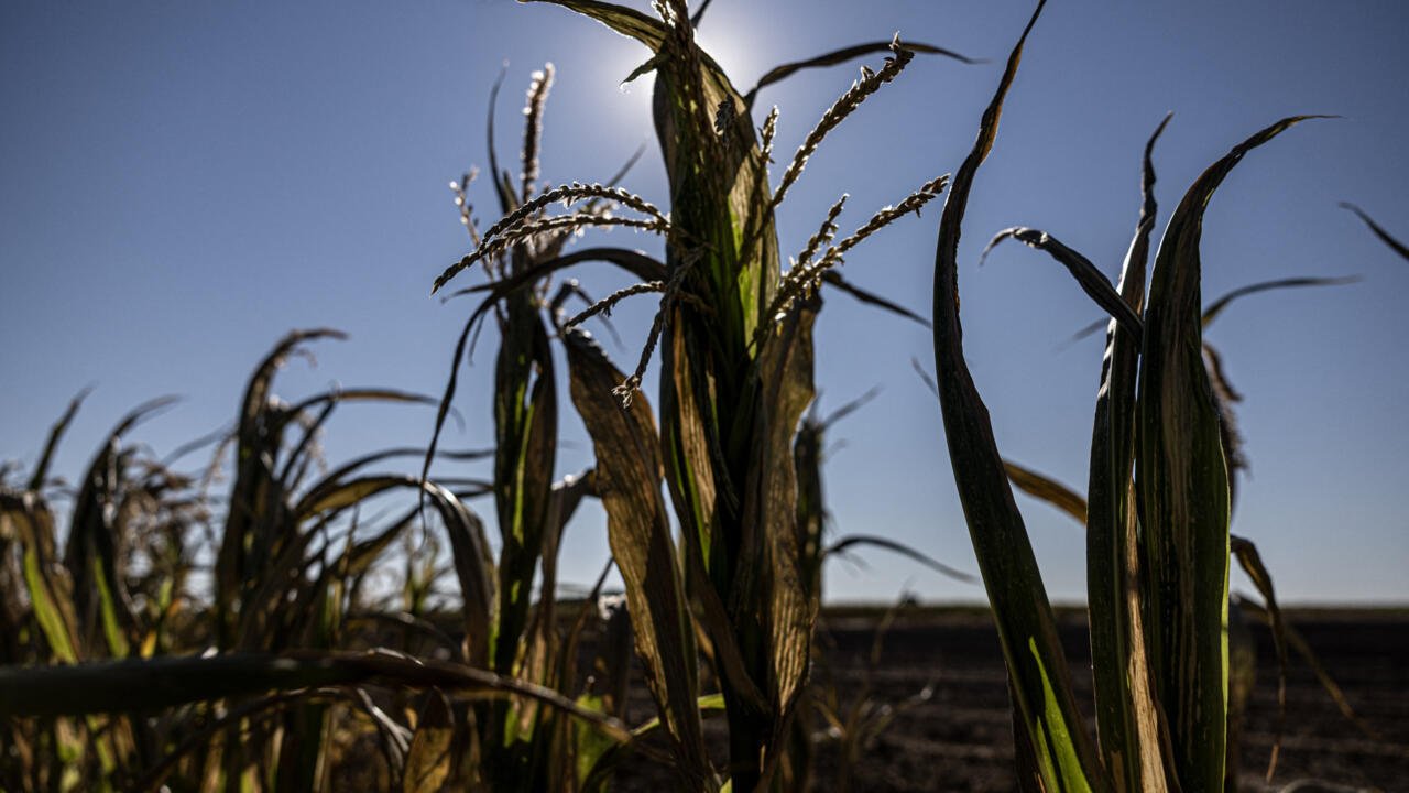 France Unveils €1 Billion Support Package for Farmers Following Devastating Climate Impact